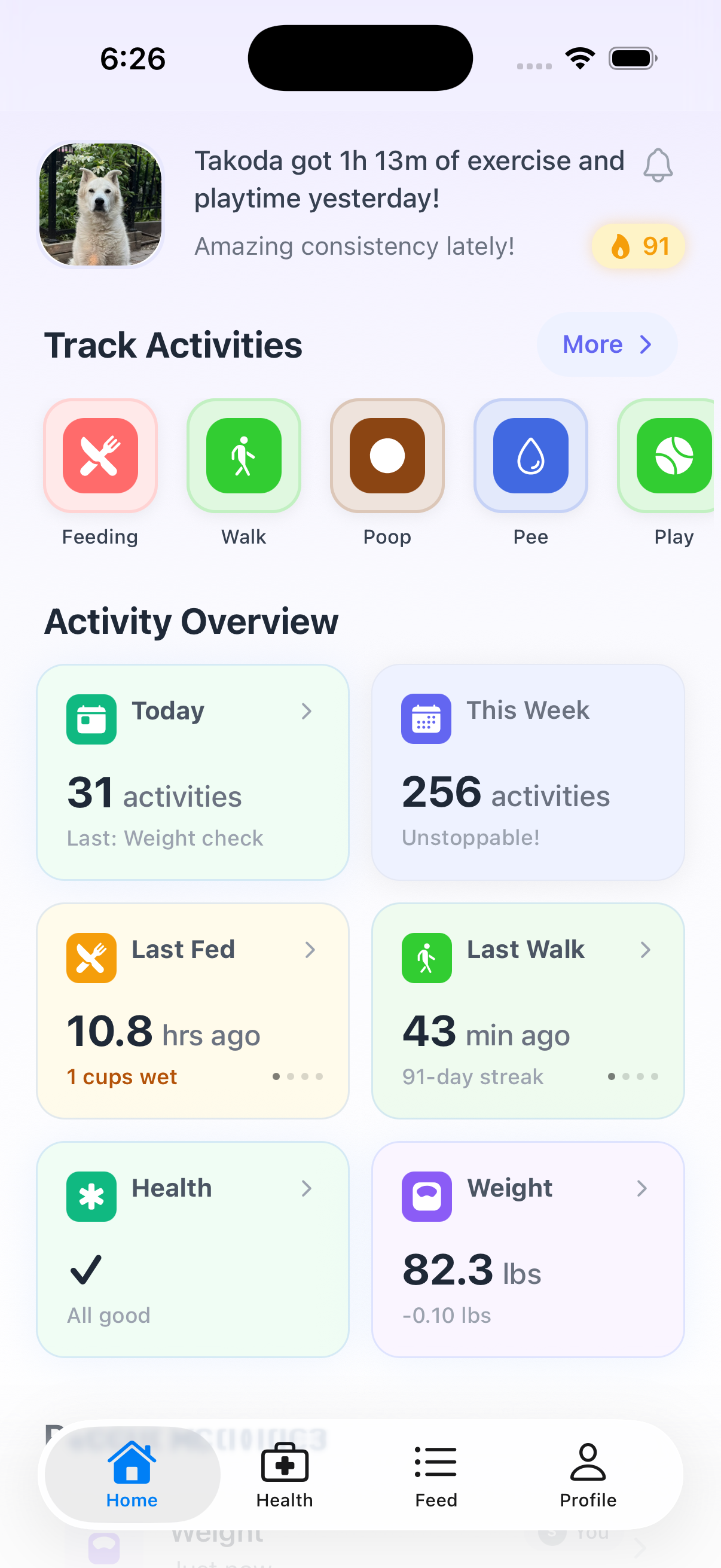BarkBoard dashboard — Takoda got 1h 13m of exercise yesterday, 91-day streak