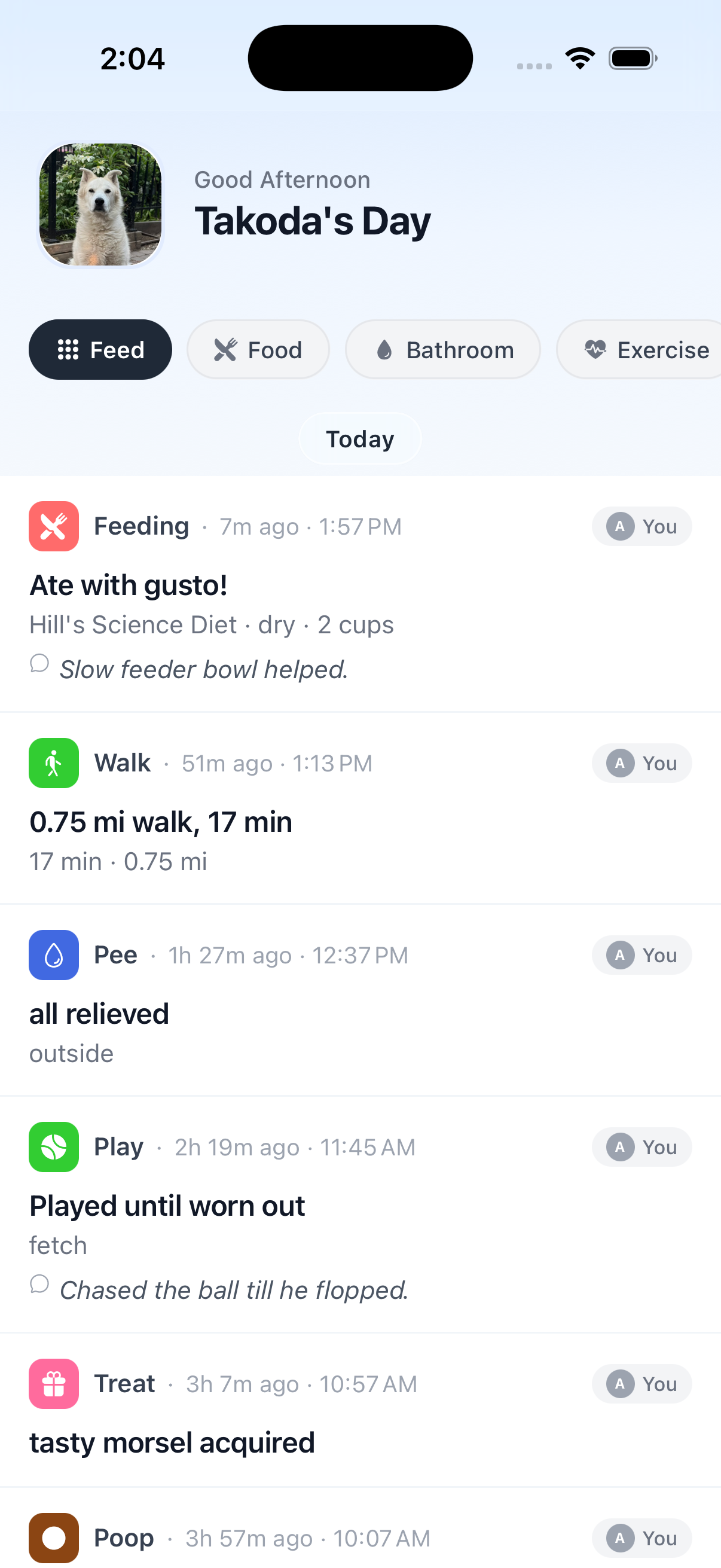 BarkBoard feed — Takoda's day in plain sentences: ate with gusto, a 0.75 mi walk, a pee break, fetch until worn out, a treat — a timeline that reads like a diary