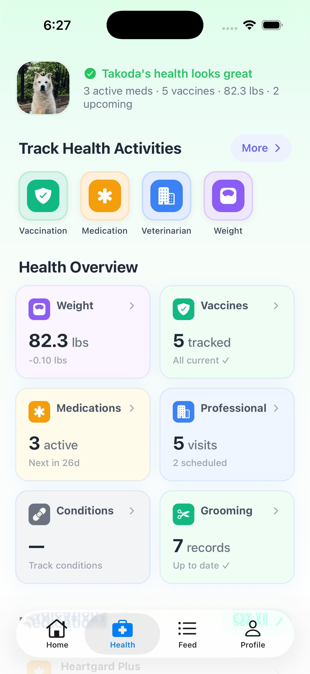 BarkBoard Health Overview — Takoda's health looks great, 3 active meds, 5 vaccines tracked