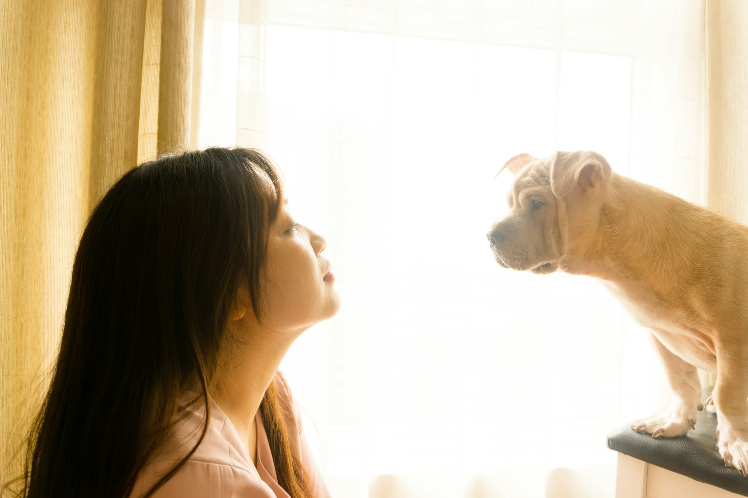 A woman and her puppy nose to nose in golden light