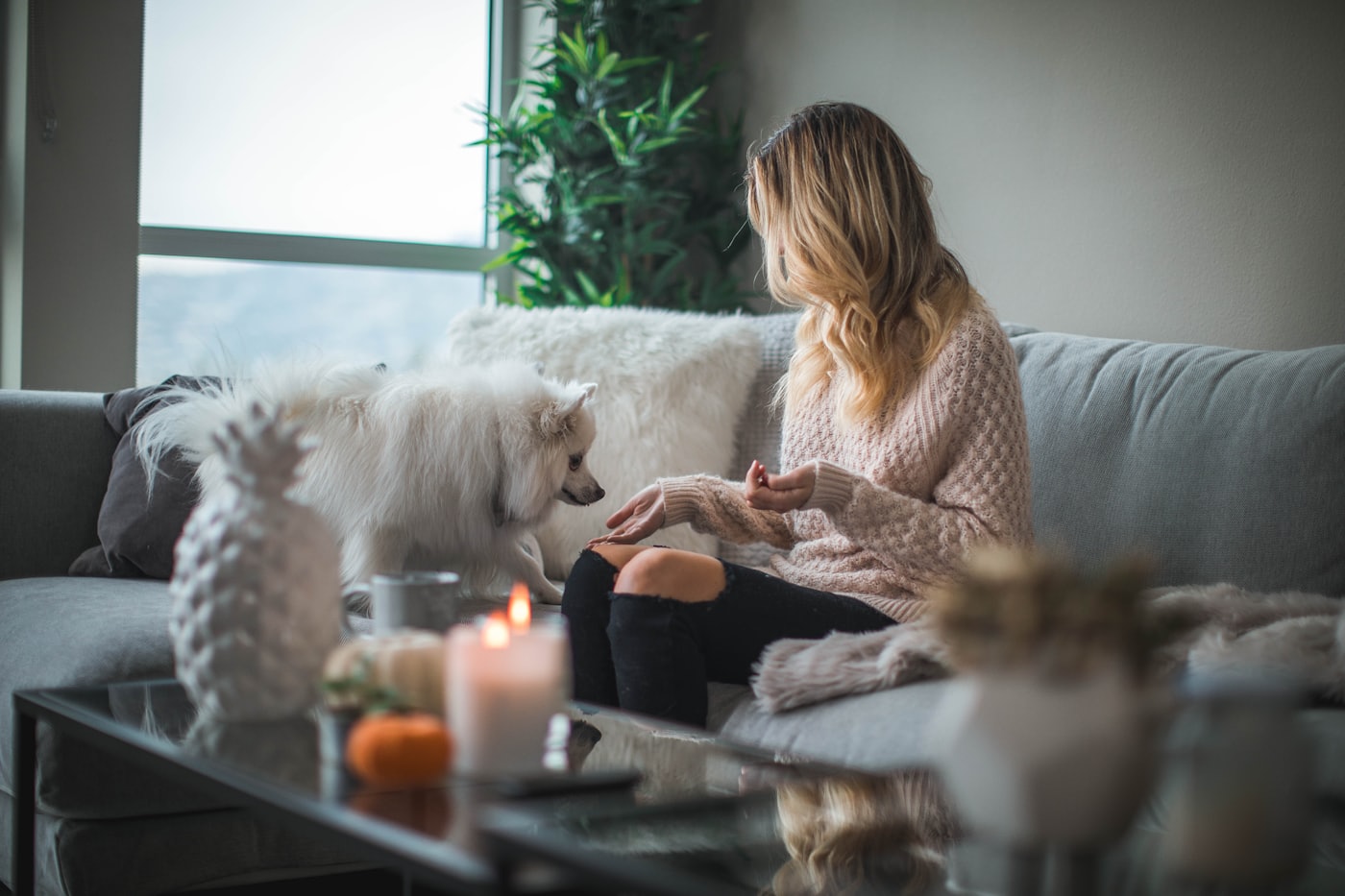 A cozy evening at home with a dog